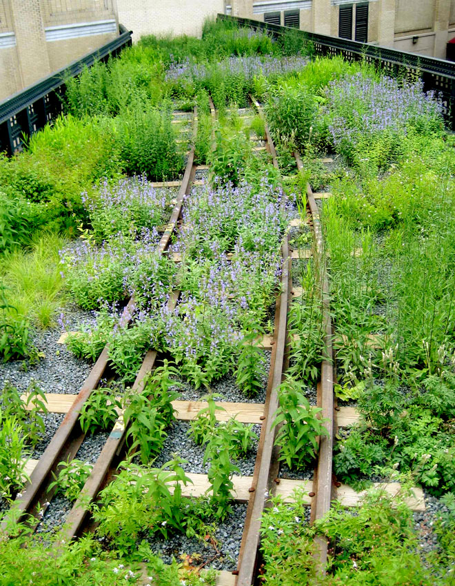 The High Line